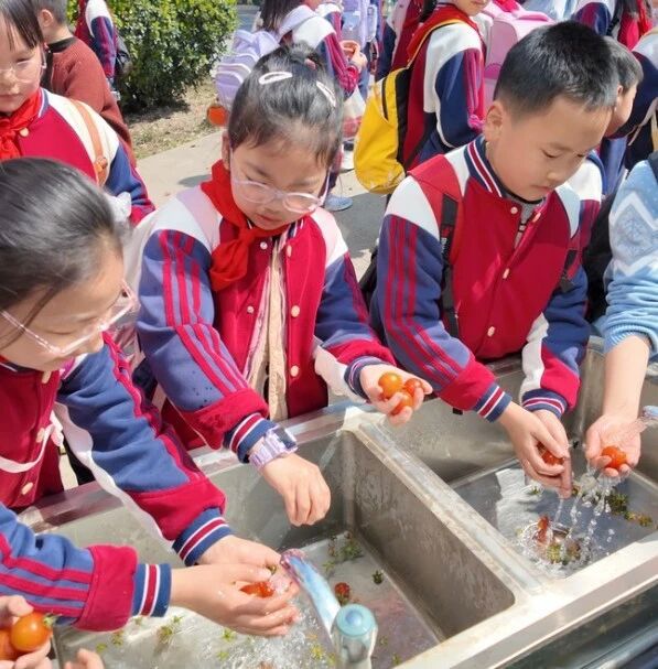 【水德润行】赴春约·趣研学·共成长——记太湖湾实验小学四年级春季社会实践活动