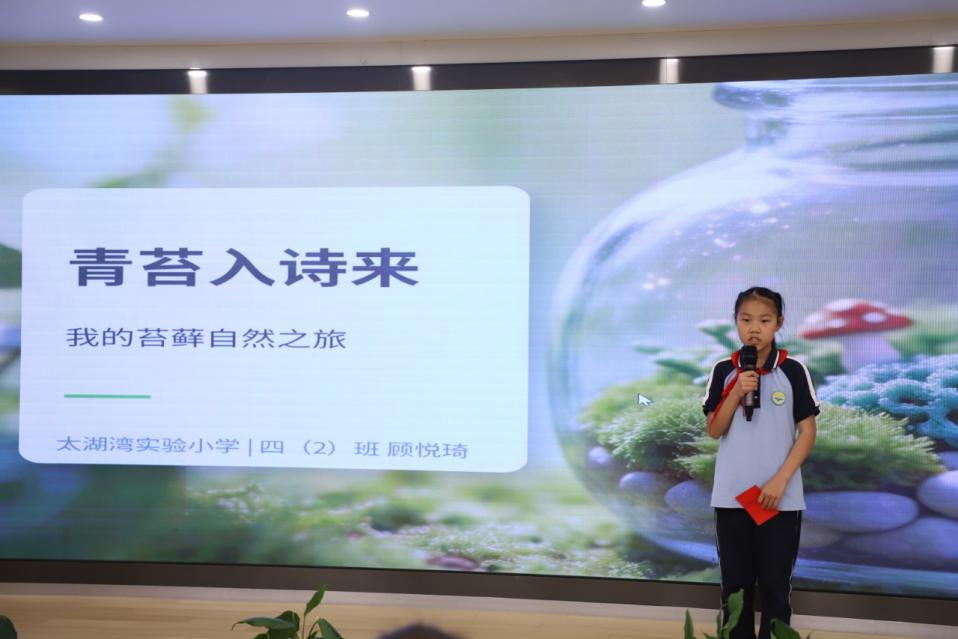 顾悦琦 苔藓心得