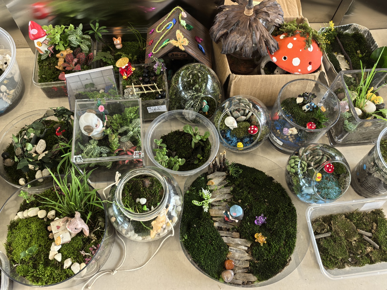 苔藓微景观作品