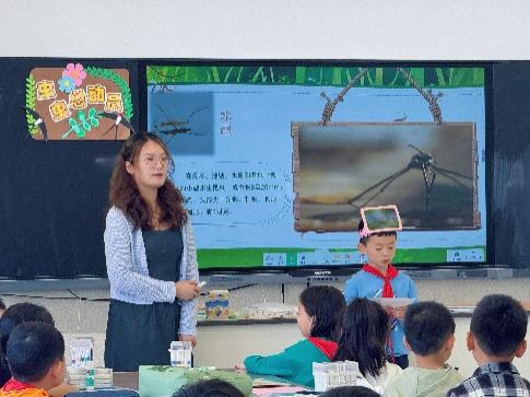 6：虫虫总动员