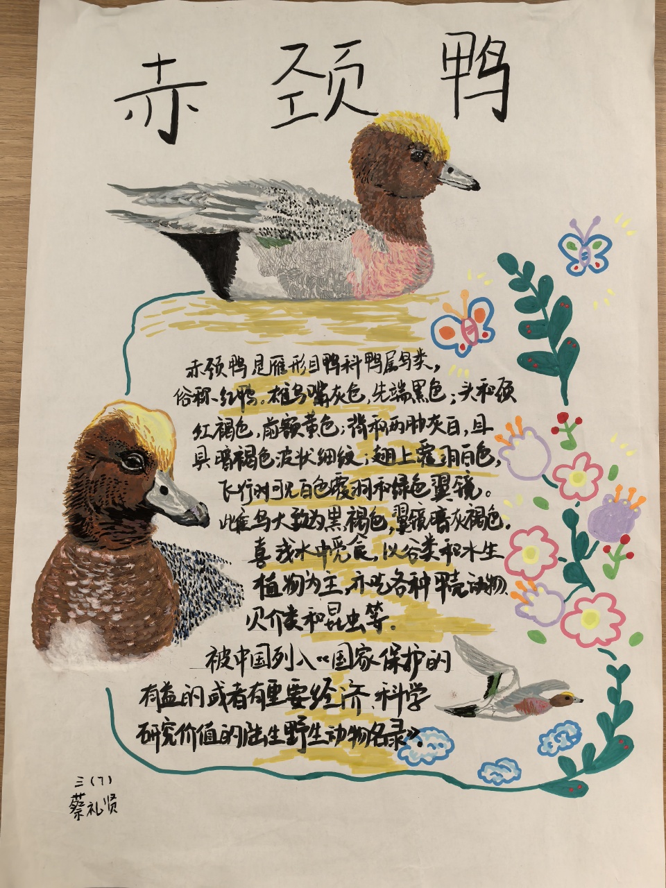 lQDPKG9C3PS390fNBQDNA8CwoCqqYufAnHYKTyK6FYV-AA_960_1280