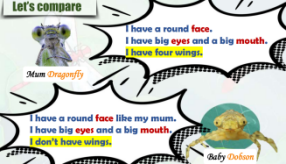 8de60f9e04da409cba9a883b4b26da91.png