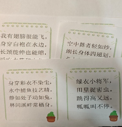 谜语图卡