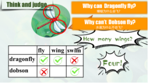 b9d776257d654f10b273ee308f61c4fe.png