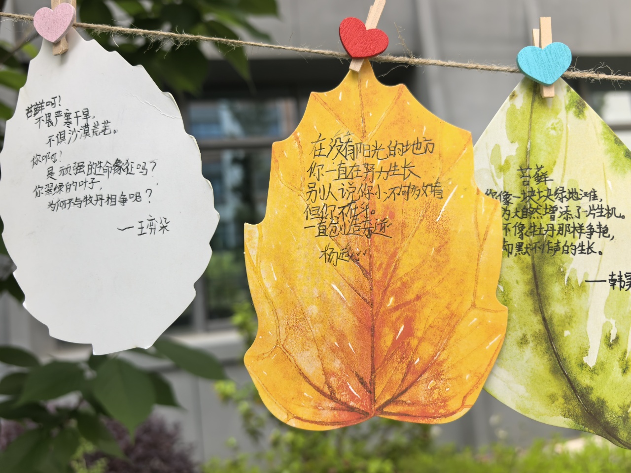 诗文创作-苔藓