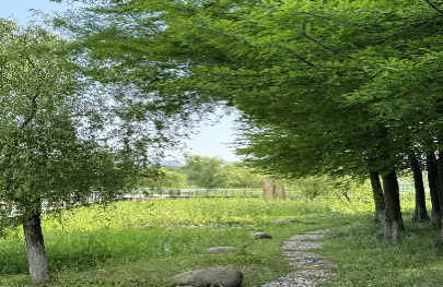 10：邂逅湿地——步入故事王国