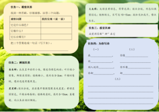 ec560eabb3a843deb217fca1cb88d245.png