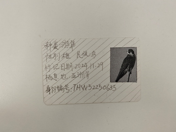 f52e75499ebb4a74abd0e7e6b0730c1a.jpg