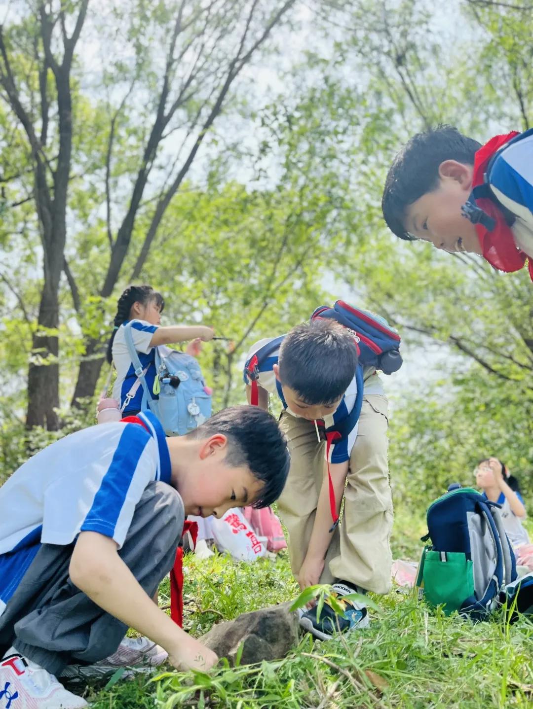 湿地植物探索