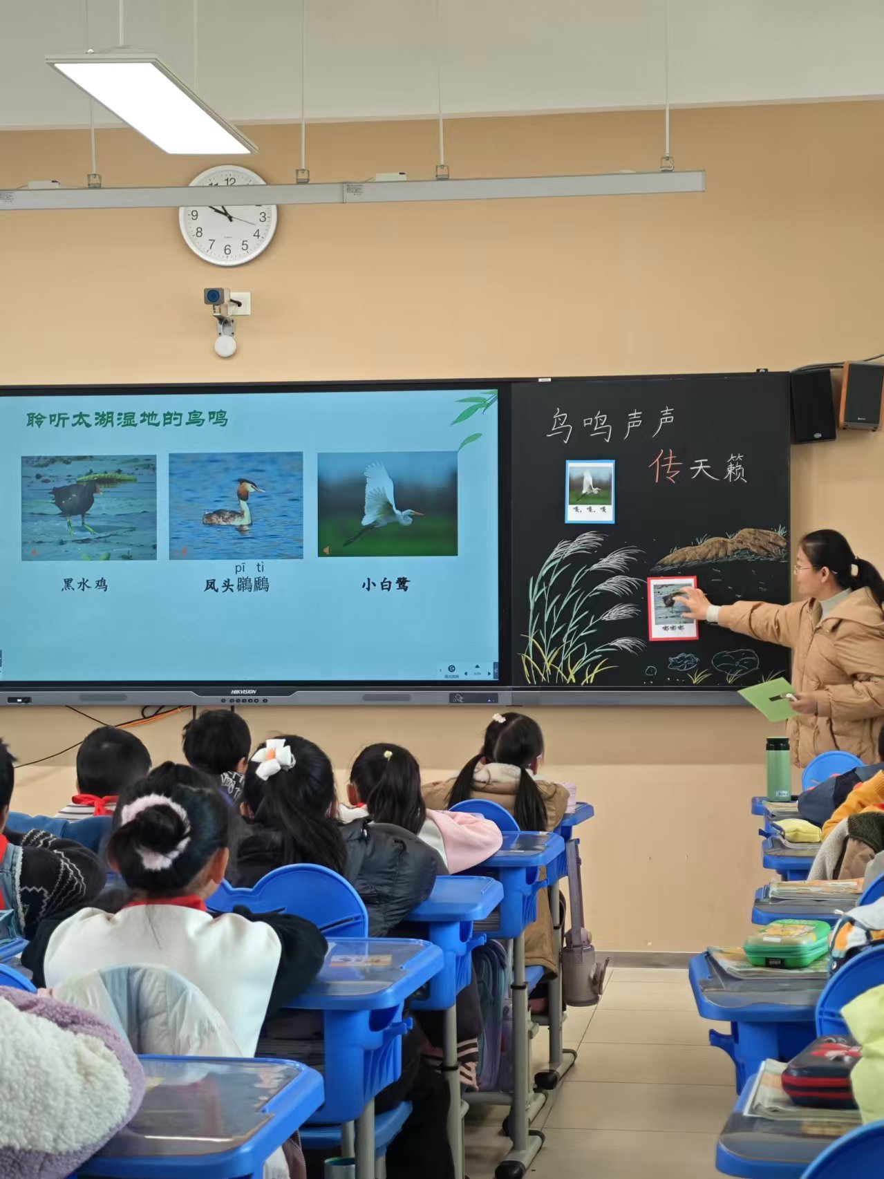 湿地+语文 课堂