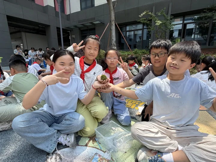 我们做的苔藓球